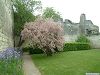 Cliquez ici pour voir l'image (Loire 069.jpg)